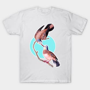 Pecking birds T-Shirt